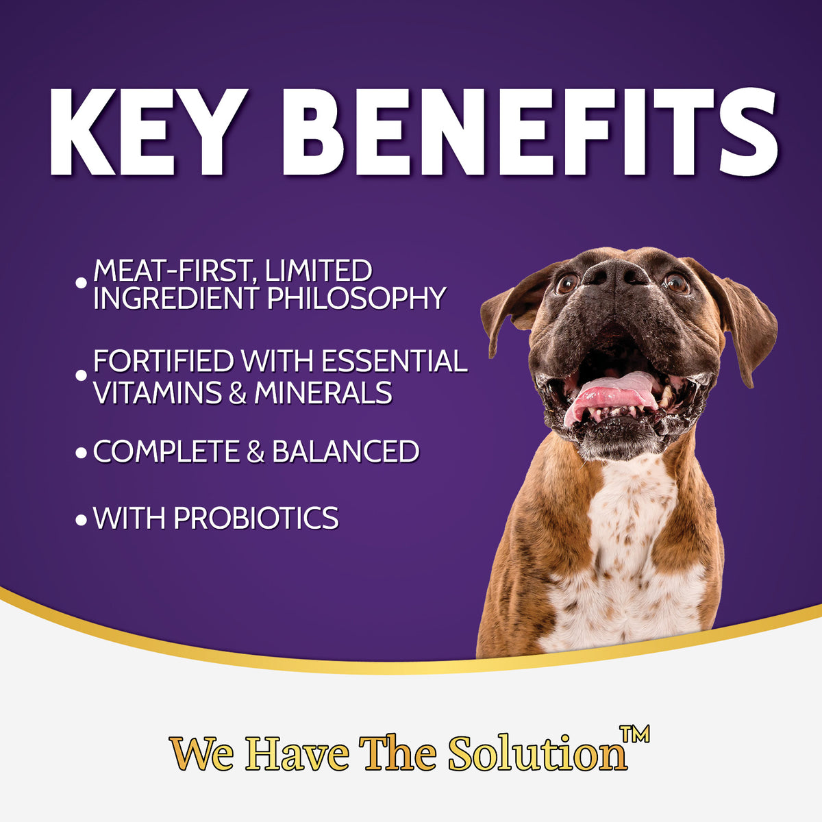 Zignature Catfish Meal Formula Dry Dog Food – PetFoodStation