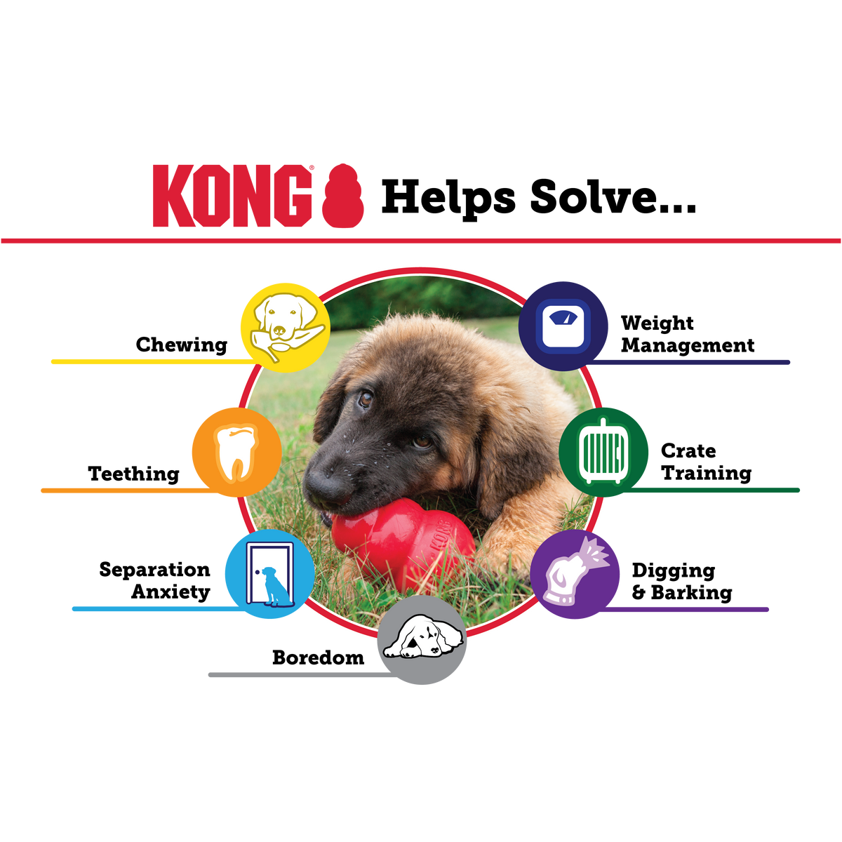 KONG Classic Dog Toy – PetFoodStation