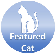 Featured cat button
