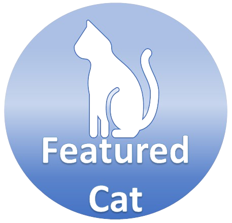 Featured cat button