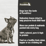 Pure Bites Beef Liver Freeze Dried Dog Treats