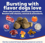 Dave's Pet Food Beef Digesti-Bites