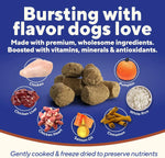 Dave's Pet Food Digesti-Bites Chicken, Rice & Pumpkin Dog Treats