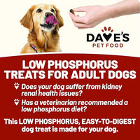 Dave's Pet Food Renal Friendly Sweet Potato Dog Treats