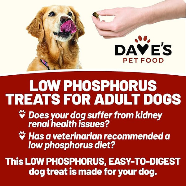 Dave's Pet Food Renal Friendly Sweet Potato Dog Treats