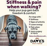 Dave's Restricted Hip & Joint Support, Chicken, Duck, & Turkey Recipe Canned Dog Food