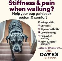 Dave's Restricted Hip & Joint Support, Chicken, Duck, & Turkey Recipe Canned Dog Food