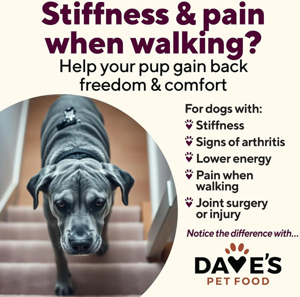 Dave's Restricted Hip & Joint Support, Chicken, Duck, & Turkey Recipe Canned Dog Food