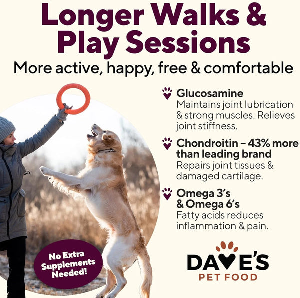 Dave's Restricted Hip & Joint Support, Chicken, Duck, & Turkey Recipe Canned Dog Food