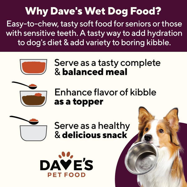 Dave's Restricted Hip & Joint Support, Chicken, Duck, & Turkey Recipe Canned Dog Food