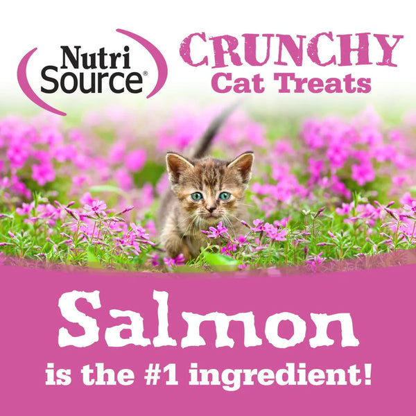 Nutrisource Crunchy Salmon & Tuna Recipe Cat Treats