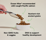 Open Farm Ancient Grain Salmon Puppy Kibble