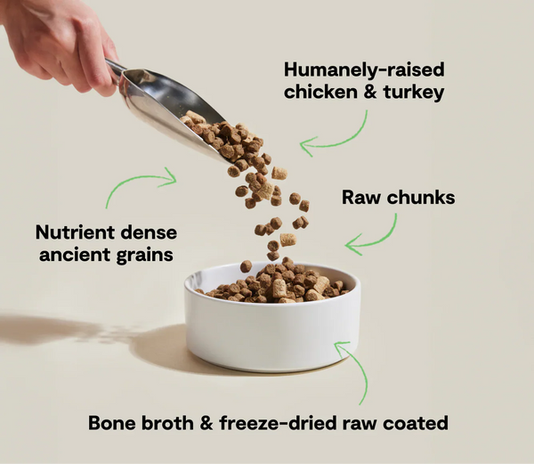 Open Farm RawMix Open Prairie Ancient Grain Dog Kibble