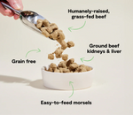 Open Farm Freeze Dried Raw - Grass Fed Beef Morsels for Dogs