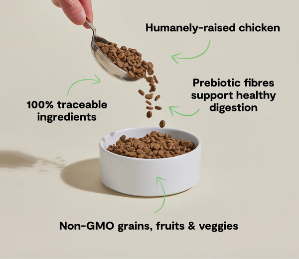 Open Farm GoodBowl Chicken & Brown Rice Dry Cat Food