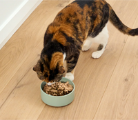 Open Farm Salmon Wet Topper For Cats