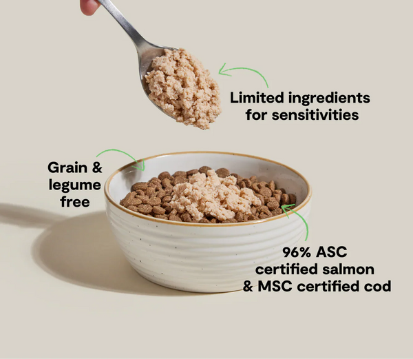 Open Farm Salmon & Cod Wet Topper for Cats