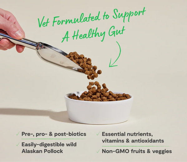 Open Food Digestive Health Pollock & Oatmeal Dog Food