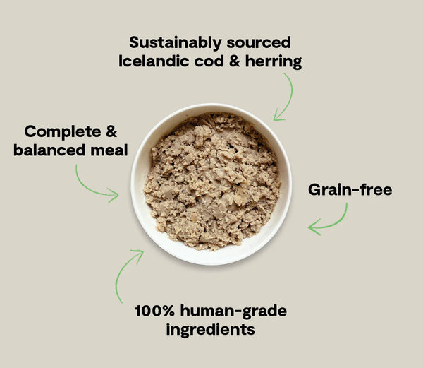 Open Farm Cod Recipe With Blueberries Wet Icelandic Dog Food