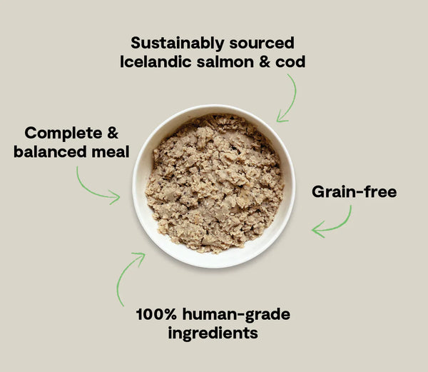 Open Farm Salmon & Cod Recipe With Sweet Potato Dog Wet Icelandic Food