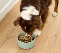 Open Farm Wet Arctic Char Topper For Dogs