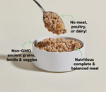 Open Farm Kind Earth Plant Based Recipe Canned Dog Food