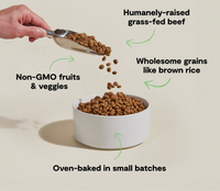 Open Farm GoodBowl Beef & Brown Rice Dog Food