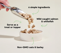 Open Farm Goodbowl Freeze Dried Raw Morsels – Wild-Caught Salmon & Wholesome Grains Recipe for Dogs