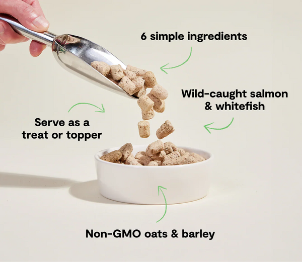 Open Farm Goodbowl Freeze Dried Raw Morsels – Wild-Caught Salmon & Wholesome Grains Recipe for Dogs