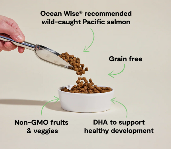 Open Farm Salmon & Sweet Potato Dry Puppy Food