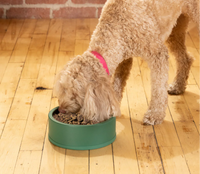 Open Farm Air Dried Alaskan Pollock & Lamb Recipe for Dogs