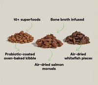 Open Farm Epic Blend Salmon Dog Food