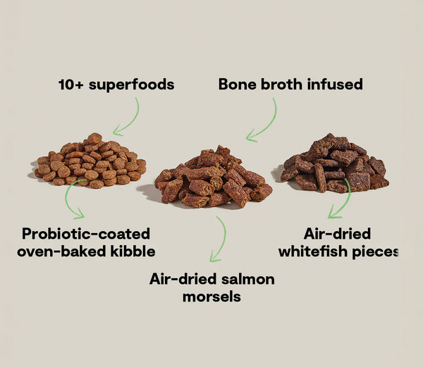 Open Farm Epic Blend Salmon Dog Food