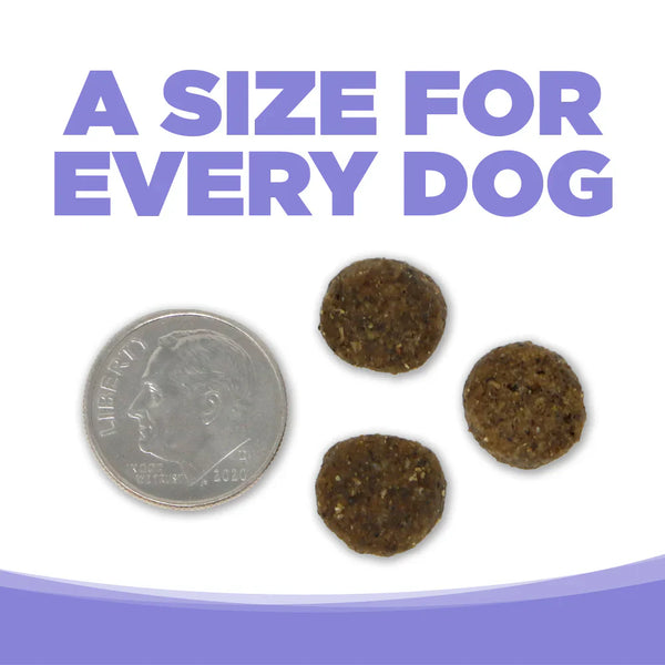 PureVita Grain Free Lamb & Pumpkin Dog Food