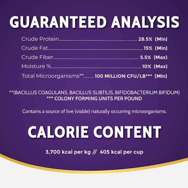 Zignature Lamb Small Bites Formula