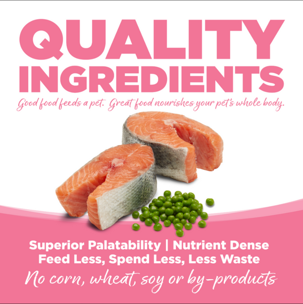 PureVita Salmon and Peas Small Bites Dry Dog Food