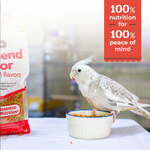 ZuPreem FruitBlend for Medium Birds