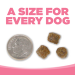 PureVita Salmon and Peas Small Bites Dry Dog Food