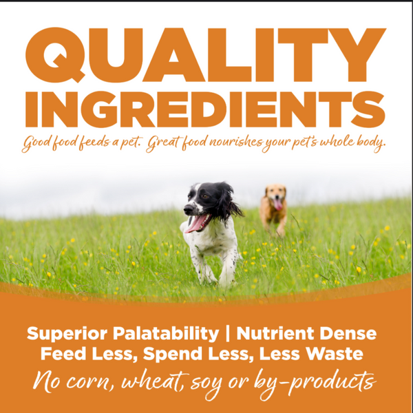 Nutrisource Lamb Meal and Rice Dry Dog Food