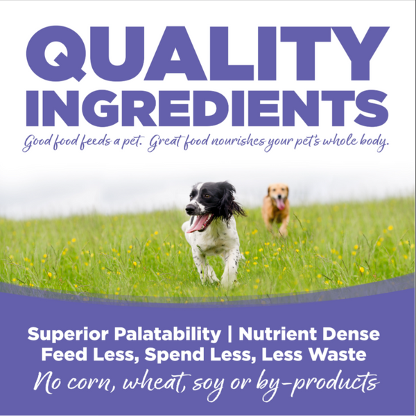 Nutrisource Small and Medium Breed Puppy Chicken and Rice Dry Dog Food