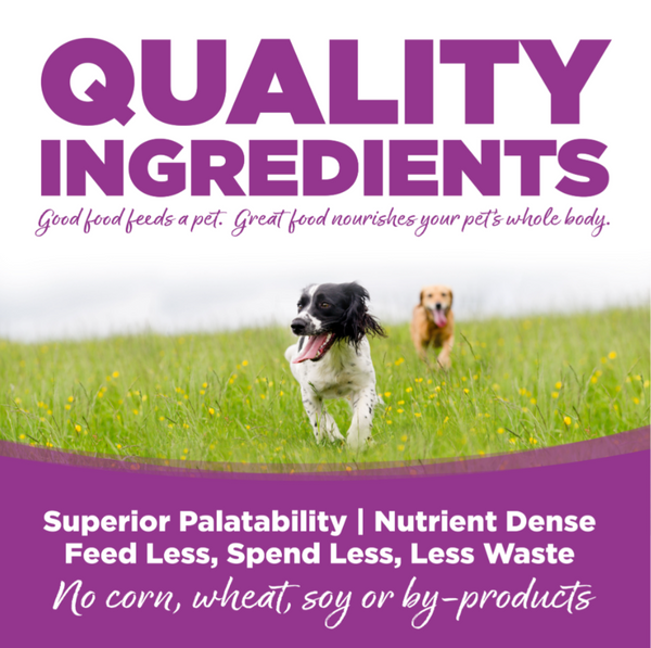 Nutrisource Large Breed Puppy Chicken and Rice Dry Dog Food