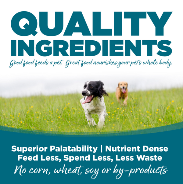 Nutrisource Adult Chicken and Rice Dry Dog Food