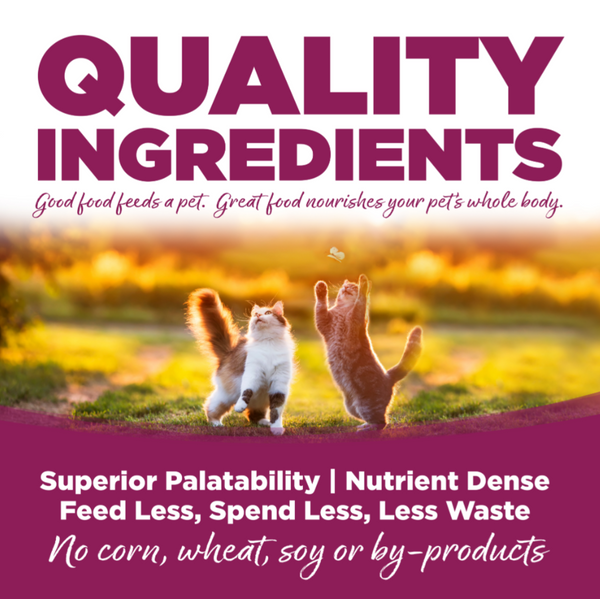 Nutrisource Cat and Kitten Chicken and Rice Dry Formula