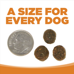 Nutrisource Grain Free Lamb Meal Dry Dog Food