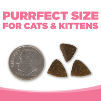 PureVita Grain Free Salmon Entree Dry Cat Food