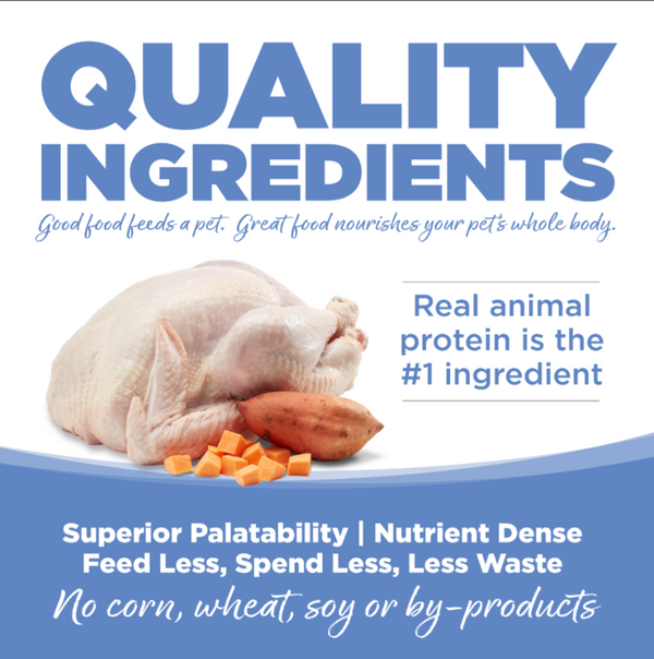 PureVita Grain Free Turkey and Sweet Potato Dry Dog Food