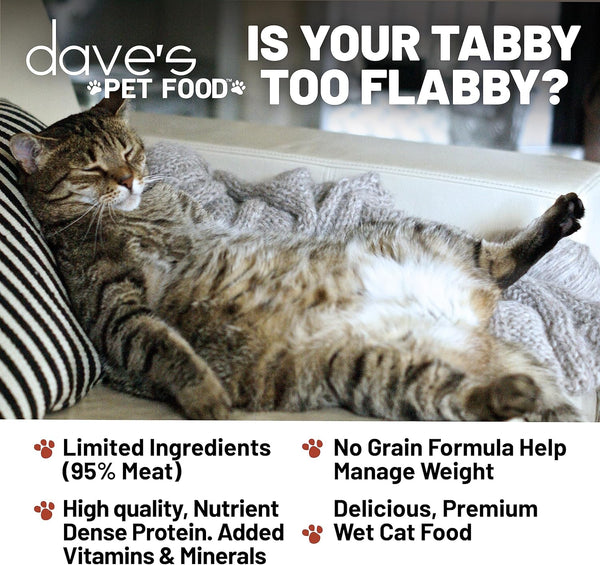 Dave's Pet Food Naturally Healthy 95% Chicken and Chicken Liver Pate Canned Cat Food
