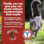 Dave's Pet Food Renal Friendly Semi-Moist Sweet Potato Cat Treats