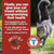 Dave's Pet Food Renal Friendly Semi-Moist Sweet Potato Cat Treats