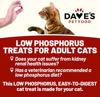 Dave's Pet Food Renal Friendly Semi-Moist Sweet Potato Cat Treats